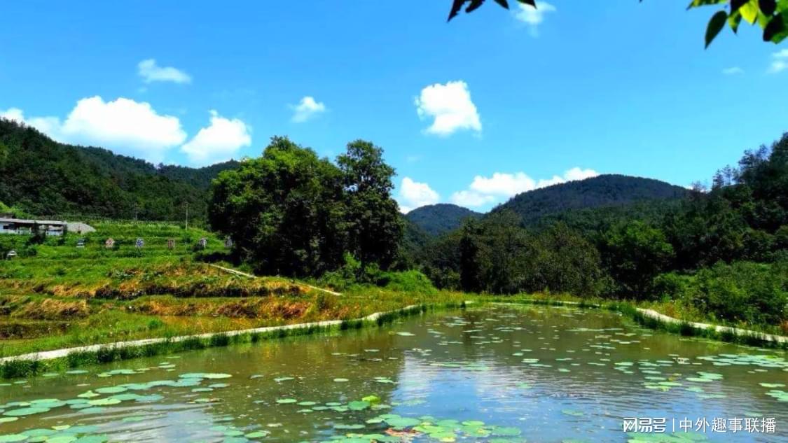 dy评论赞自助下单平台网站：最新自媒体运营技巧与实战策略_快手点赞自助平