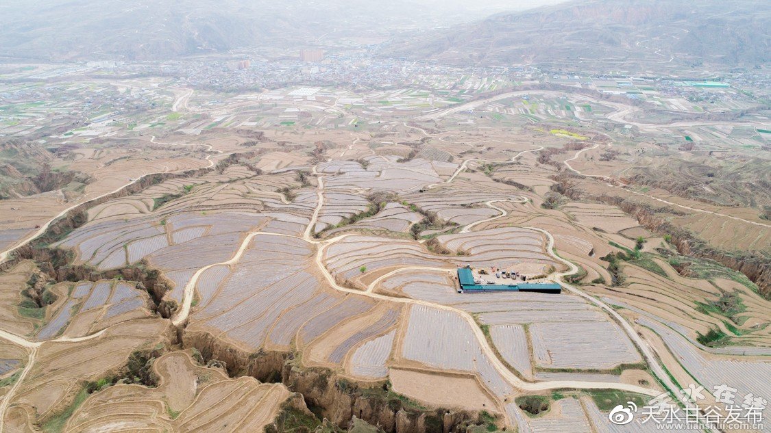 0.5元1000赞自助下单